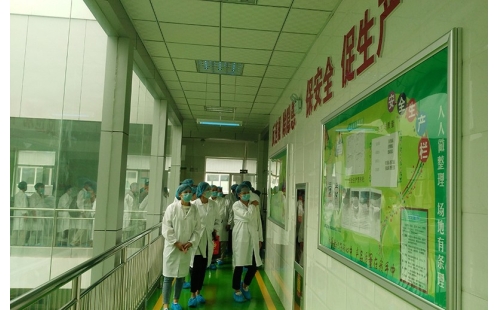 值公司成立十周年慶典，公司贊助萬名老人免費游寧夏系列活動