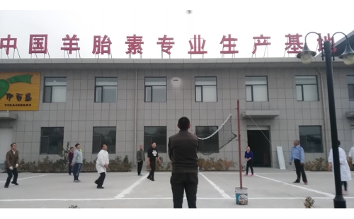 排球傳溫情，員工齊聚心